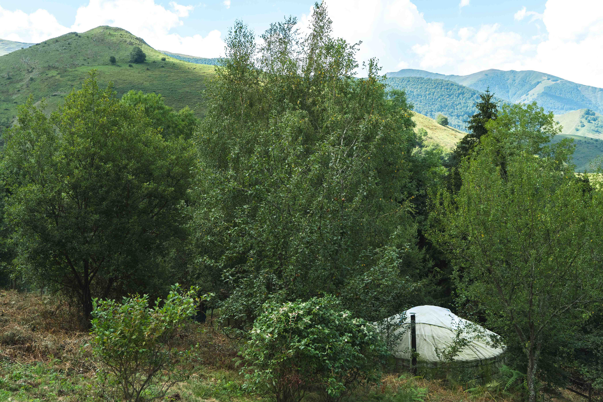 GreenGo location vacances écoresponsables