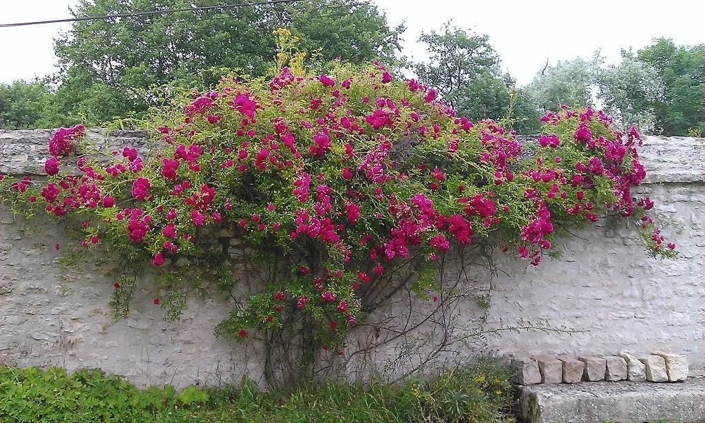 Nièvre Haut-de-gamme