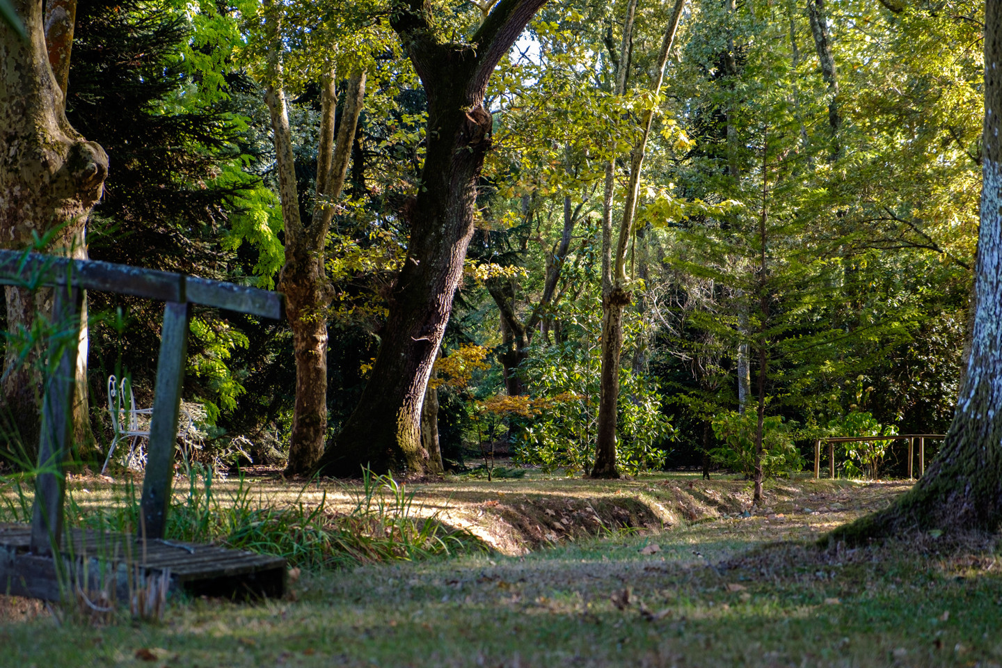 GreenGo Chambre d’hôtes Nouvelle-Aquitaine Évasion