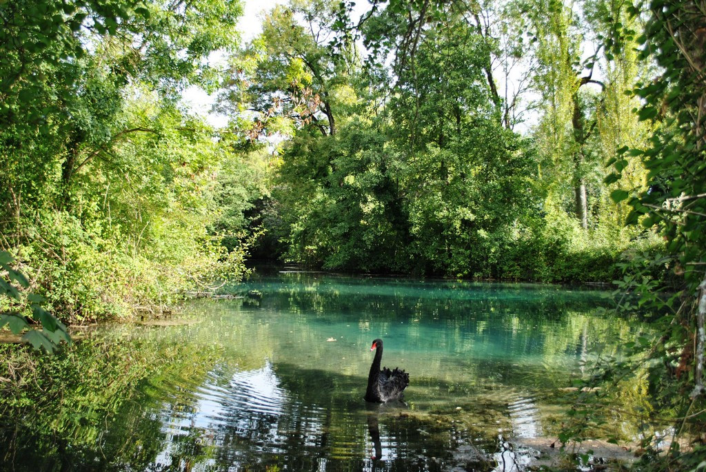 GreenGo Le Logis