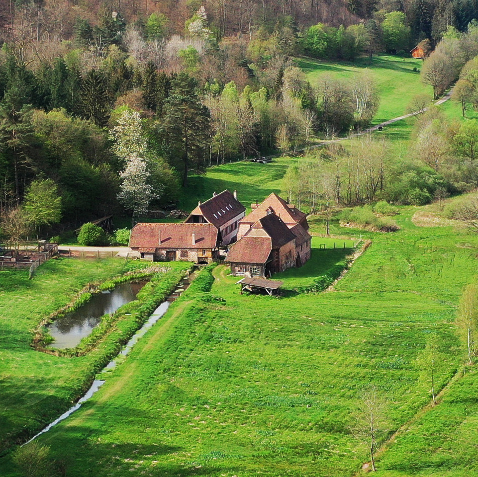 GreenGo Chambre d’hôtes Grand Est Évasion