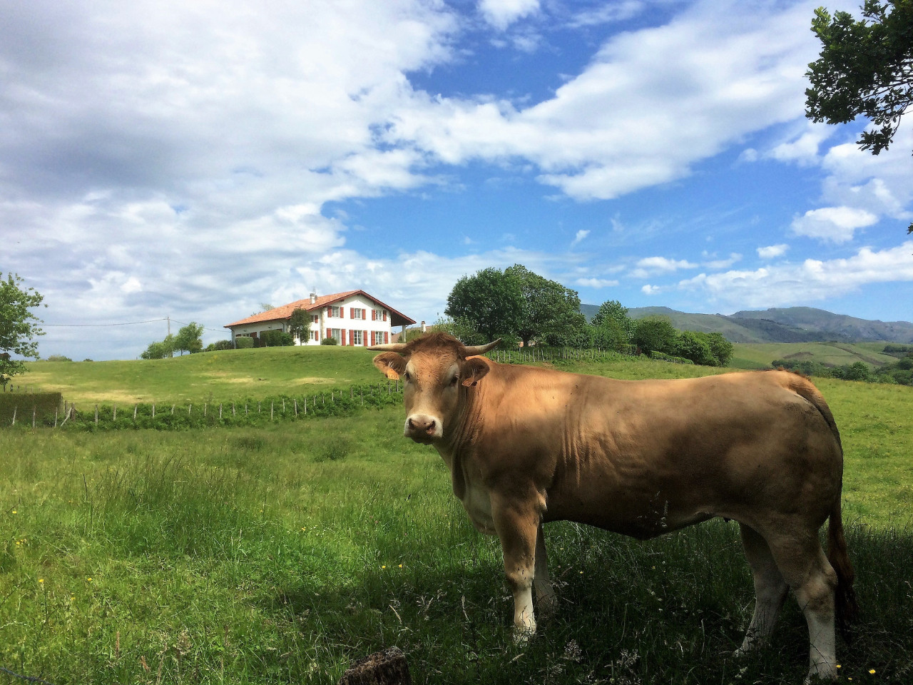 GreenGo 4 Eco-Gites 3* au Baskoparadis