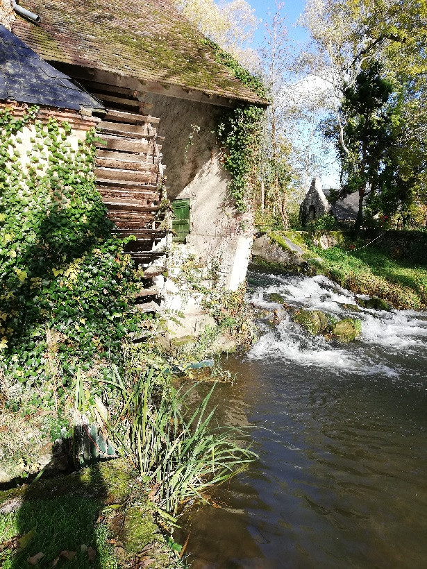 GreenGo Chambre d’hôtes Pays de la Loire À la campagne