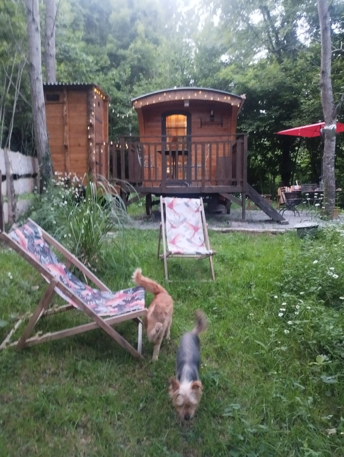 GreenGo Gîte Occitanie Évasion