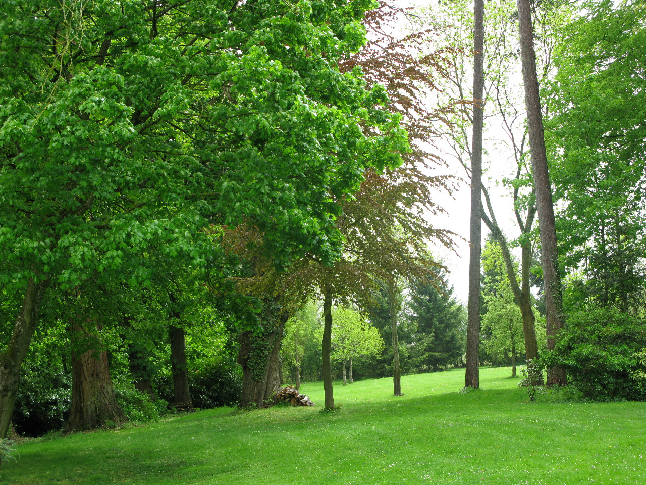 GreenGo Sequoia - les Grandes Hayes Coulonges sur Sarthe