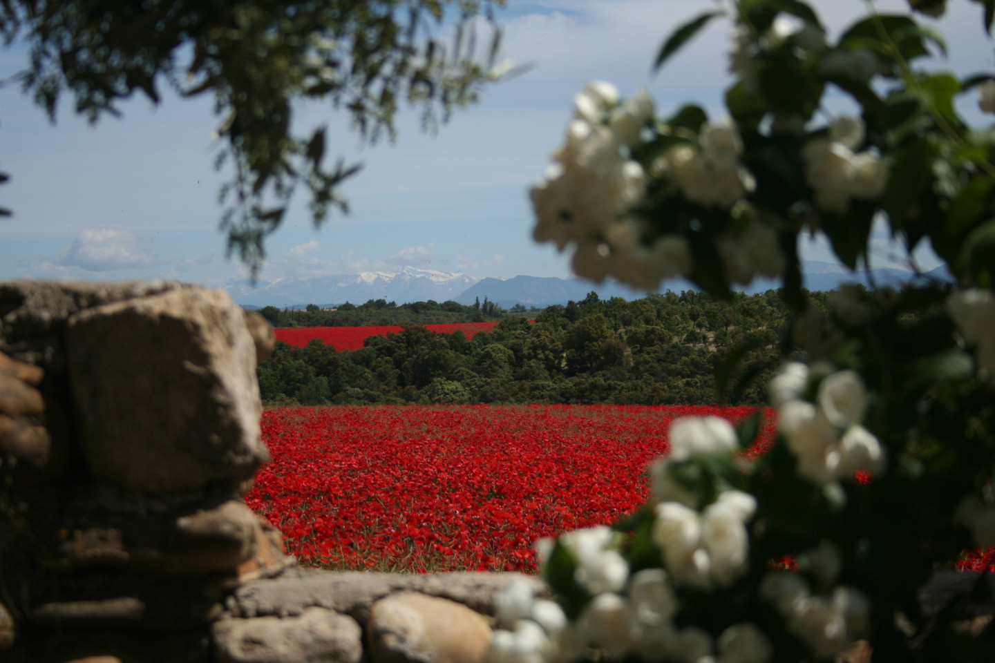 Location Alpes-de-Haute-Provence Haut-de-gamme