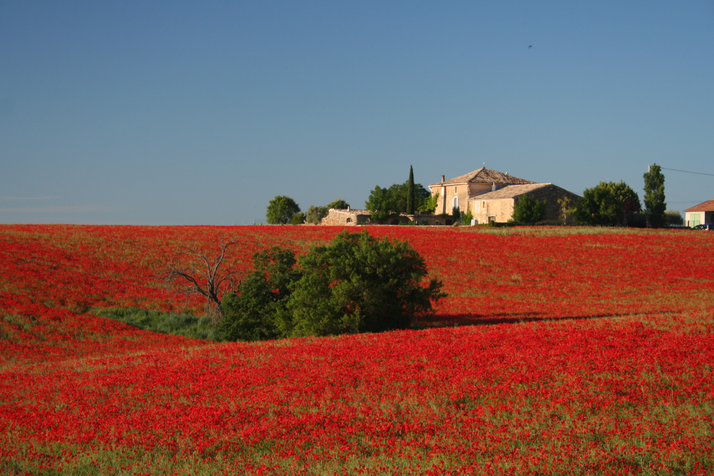 GreenGo Clos de la Tuilerie, vue panoramique, nature préservée et piscine