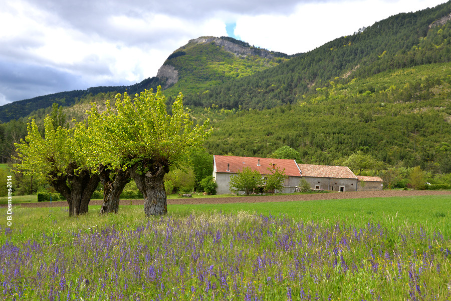 GreenGo Gîte de la Ferme d'Ausson en pleine nature