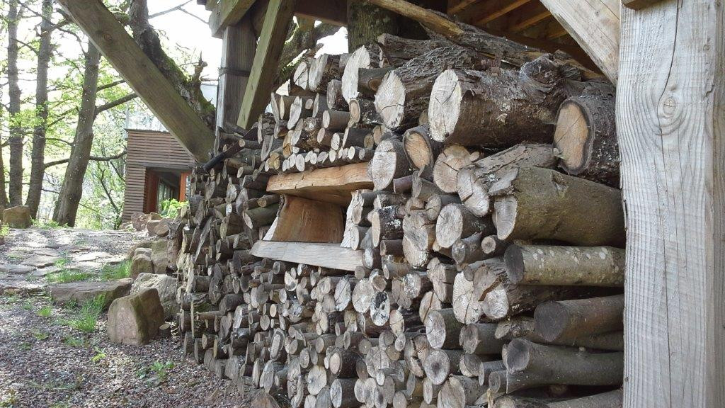 GreenGo Logement insolite Grand Est À la campagne