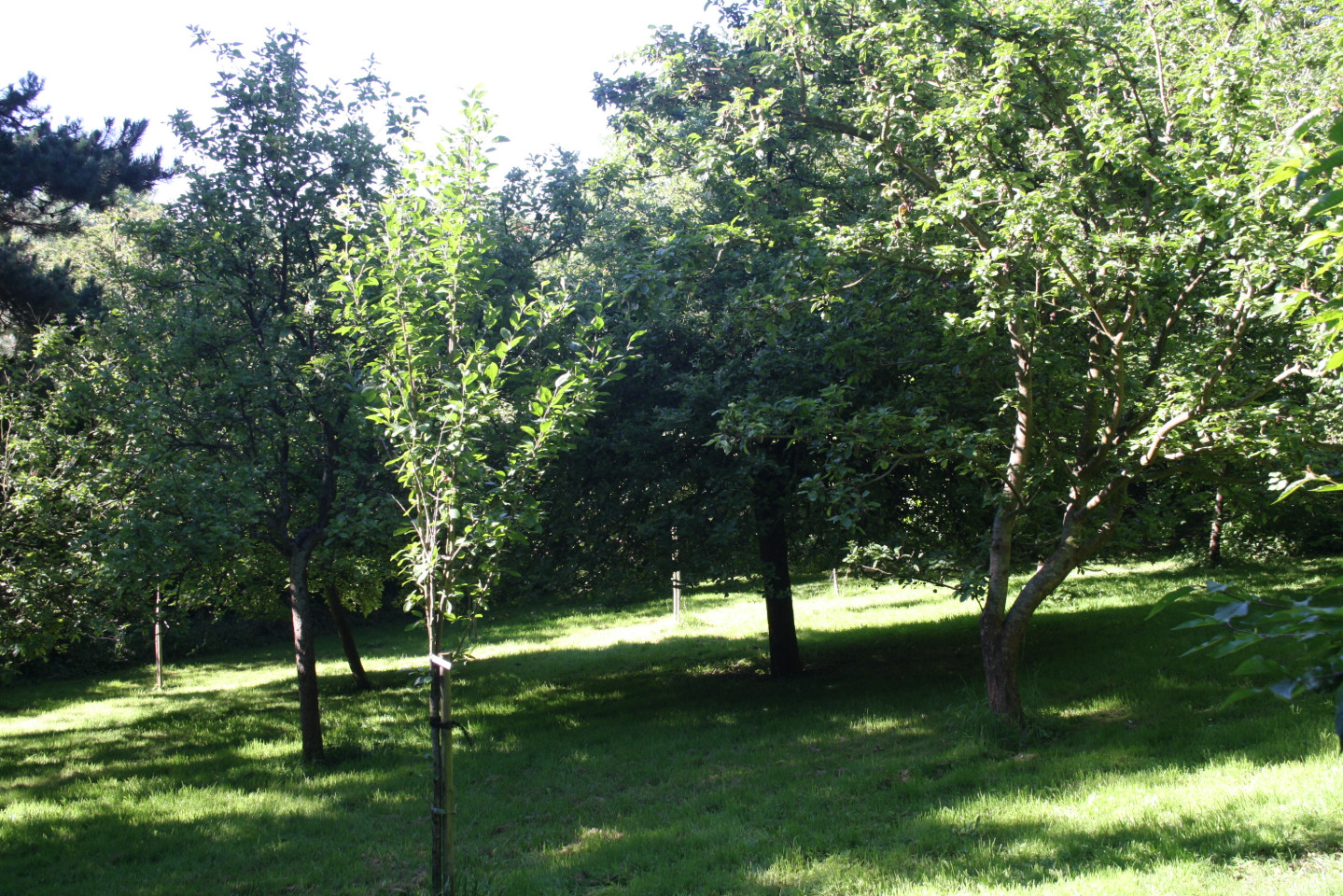 Hôte GreenGo: Villa Sainte Claire