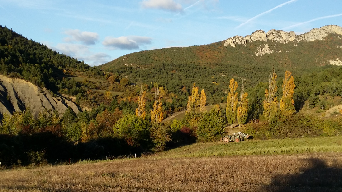 Chambre d’hôtes Drôme Musique
