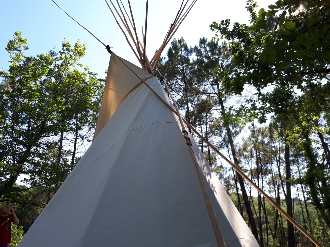 Camping Lot Glamping