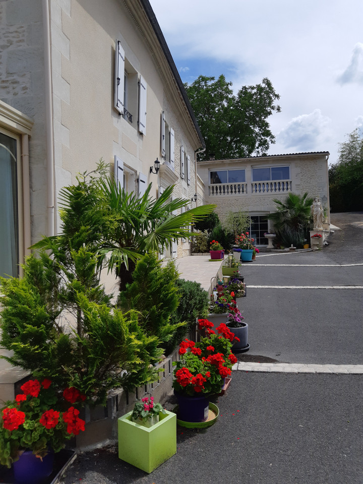 Les Orchidees