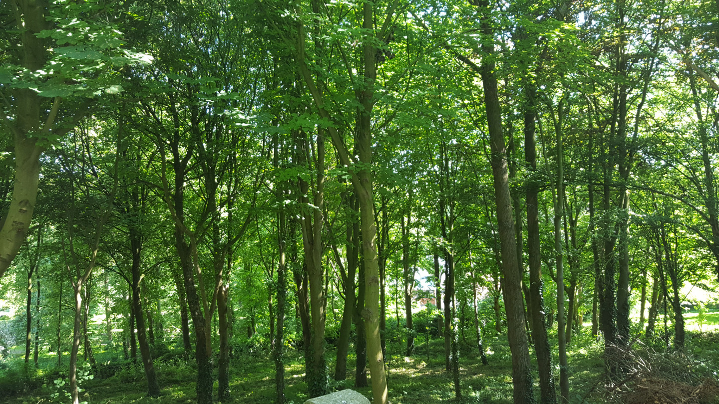 GreenGo Villa Sainte Claire