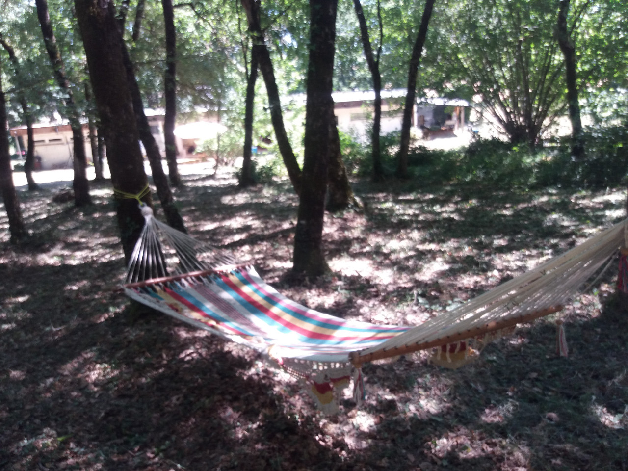 Charente-Maritime En forêt