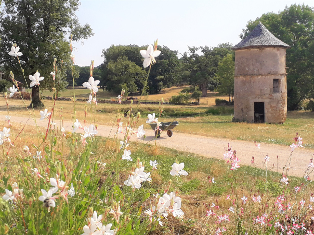 GreenGo Gîte Occitanie À la campagne