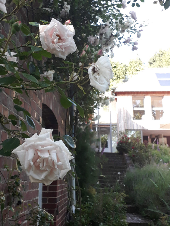  Calvados À la campagne