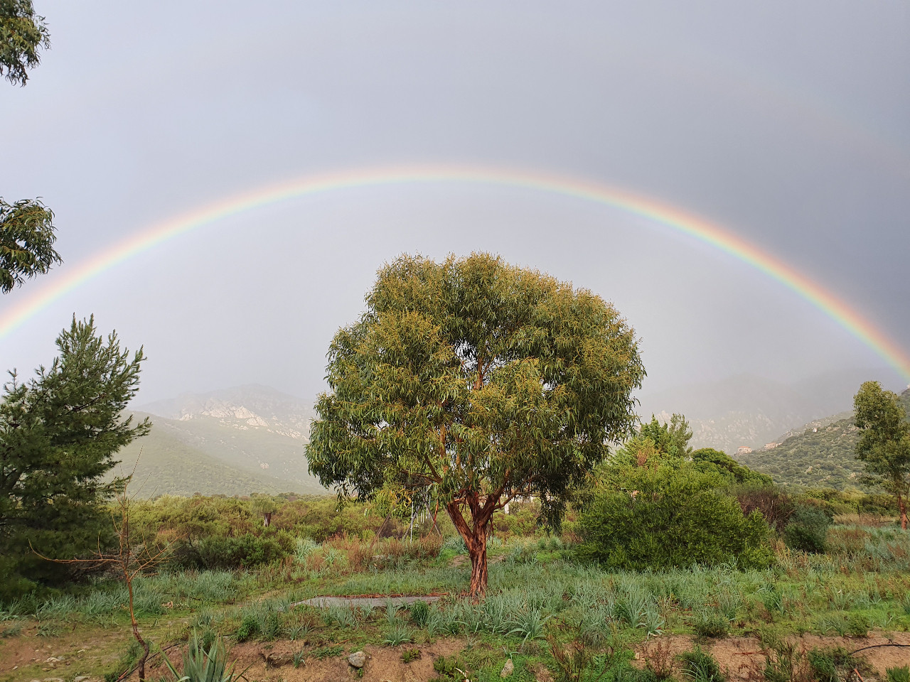  Haute-Corse À la campagne