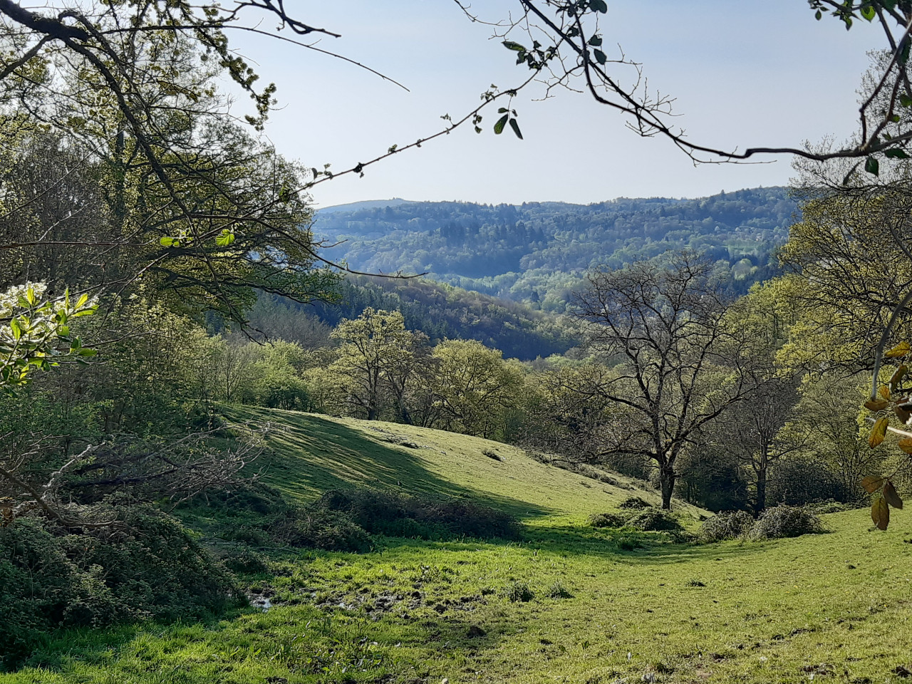 GreenGo Chambre d’hôtes Nouvelle-Aquitaine Évasion