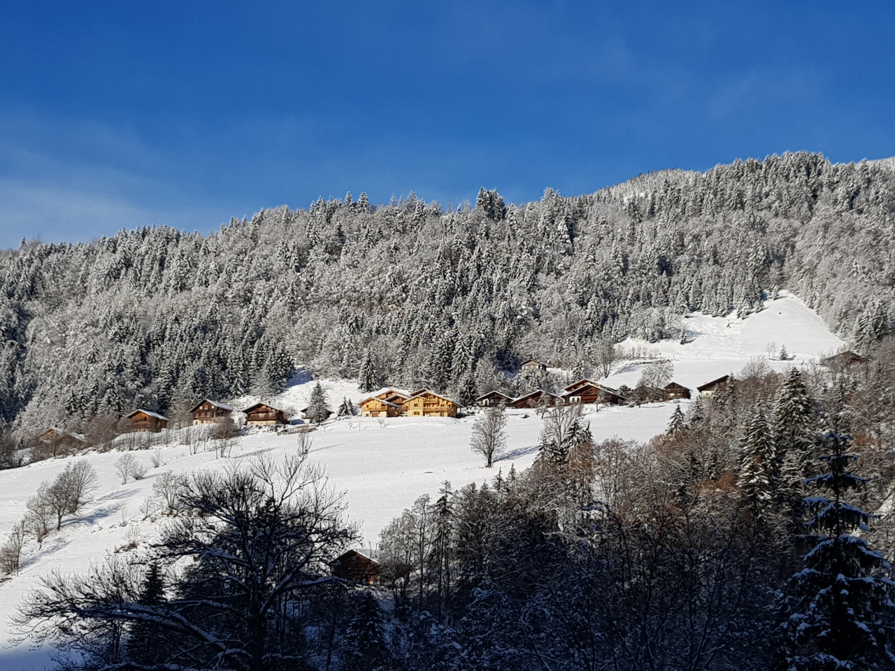 GreenGo La ferme d'Hauteluce