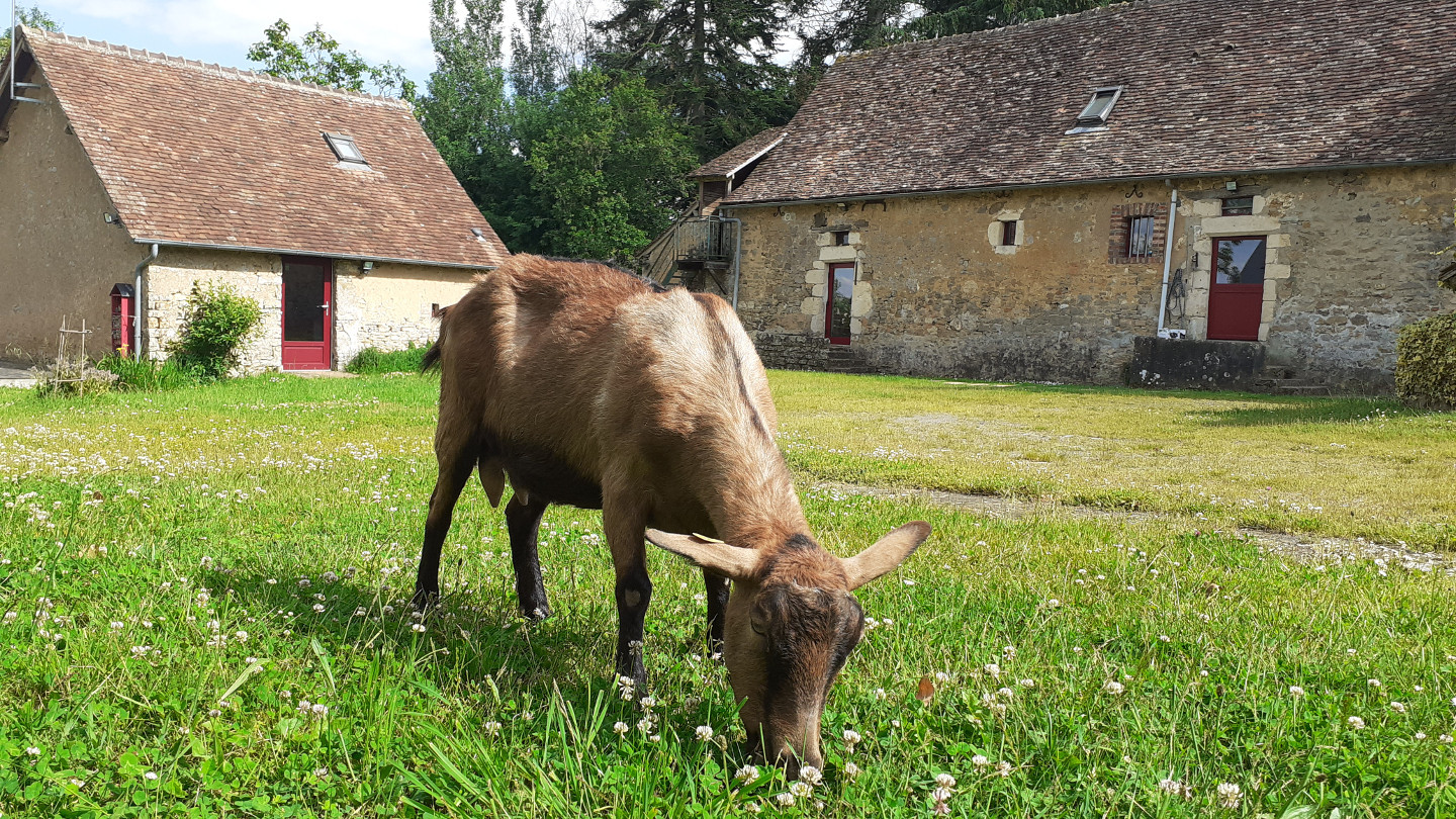 Gîtes de la Bretonnerie: Venez poser vos valises chez Happy Blue ou Tulipe :)