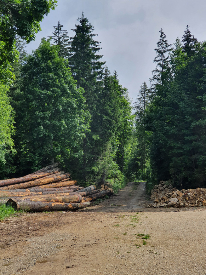 GreenGo Lodges les Enguenelles