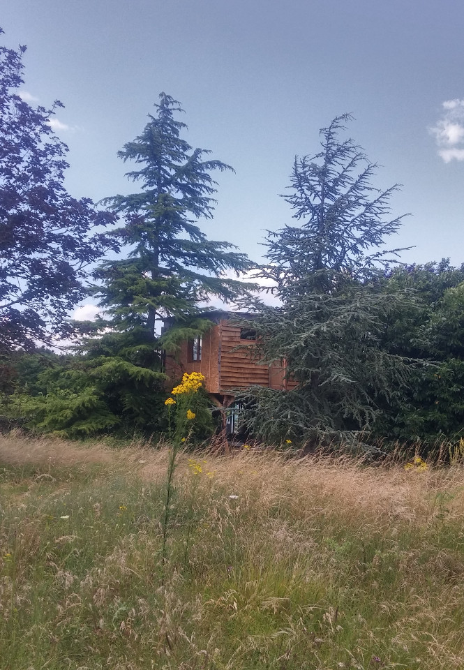 GreenGo La cabane dans les arbres