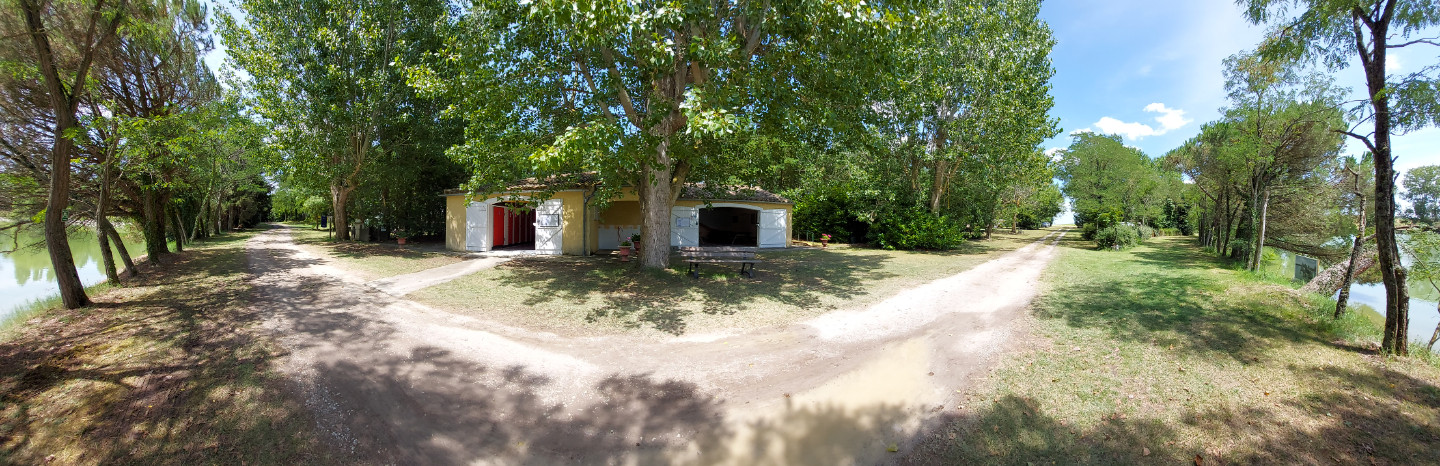 Aude Rustique