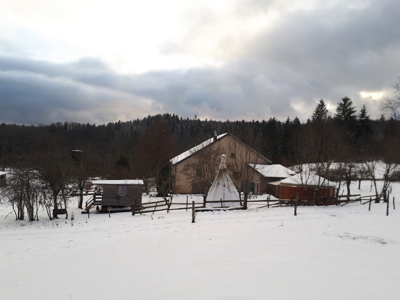 GreenGo Jurassic Farm