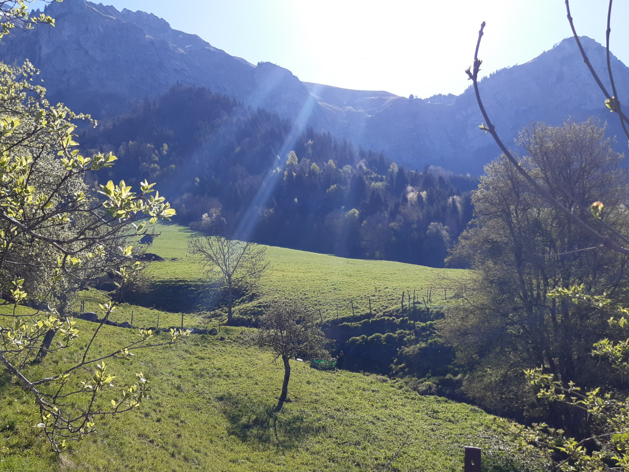 Chambre d’hôtes Savoie Musique