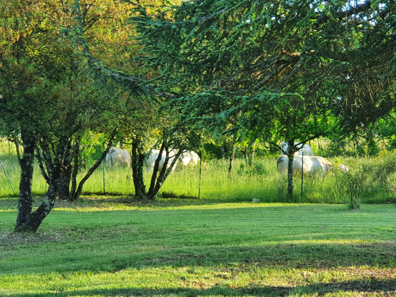 GreenGo location vacances écoresponsables