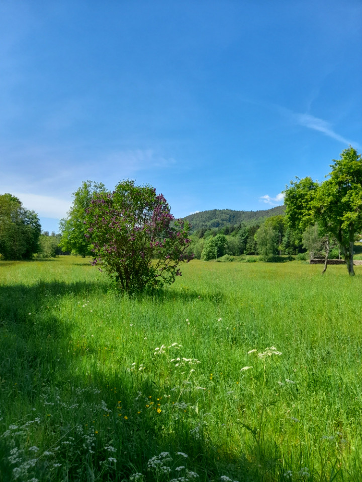 Logement insolite Vosges À la campagne