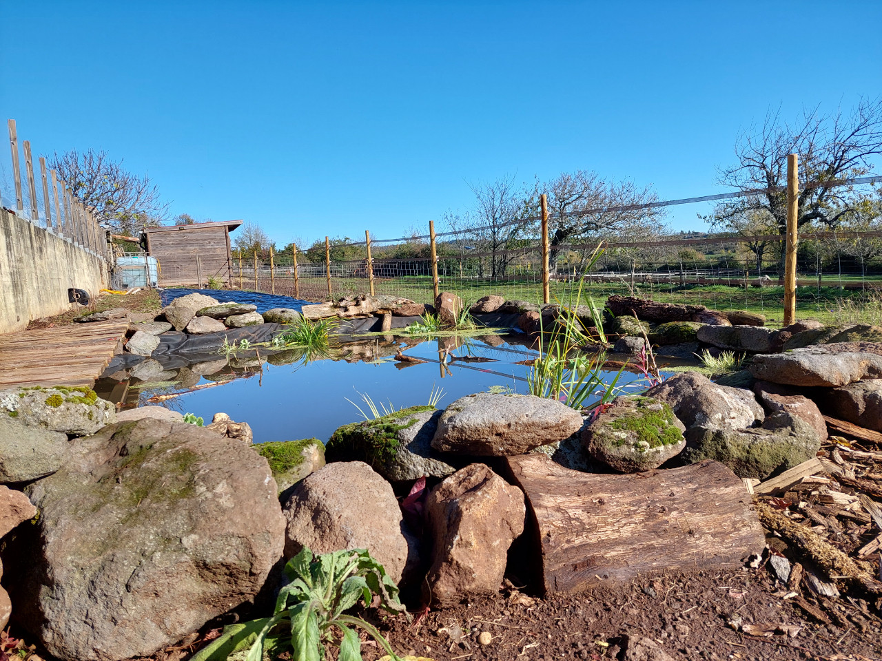 GreenGo Gîte rural avec animaux et piscine, idéal famille