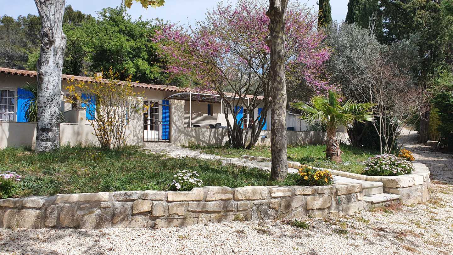 GreenGo Mas de Joseph-Mimosas aux Baux de Provence .
