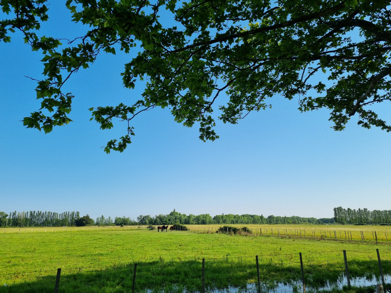GreenGo location vacances écoresponsables