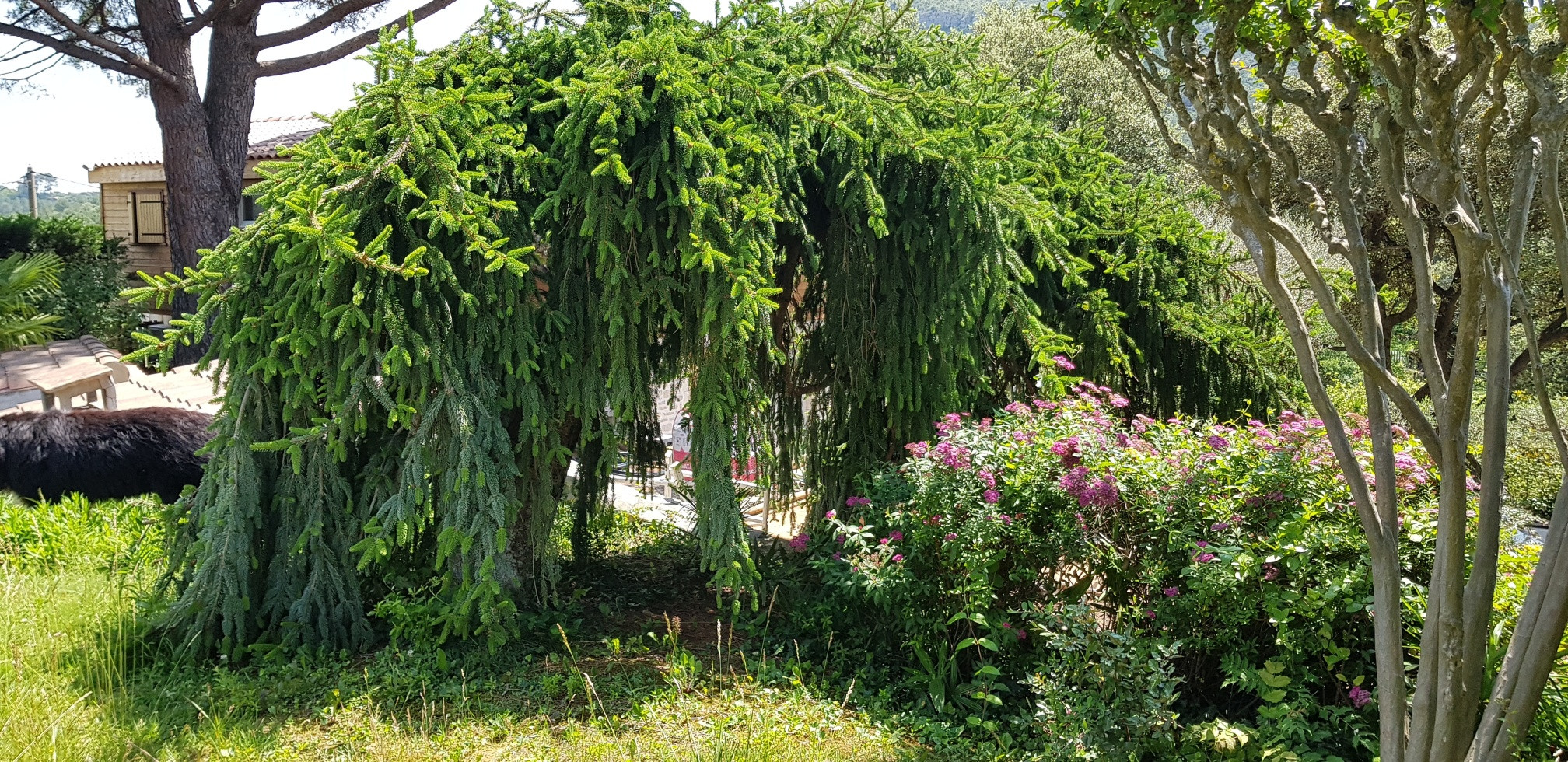 GreenGo location vacances écoresponsables