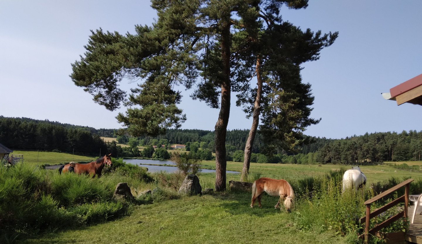 GreenGo La ferme de vovady