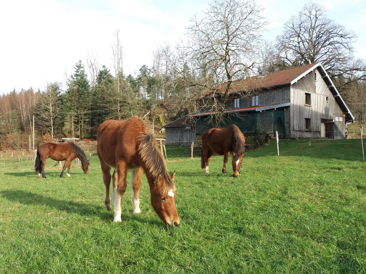 Le gîte de la Ferme aux Moineaux