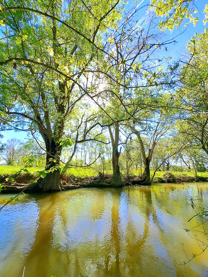 GreenGo location vacances écoresponsables