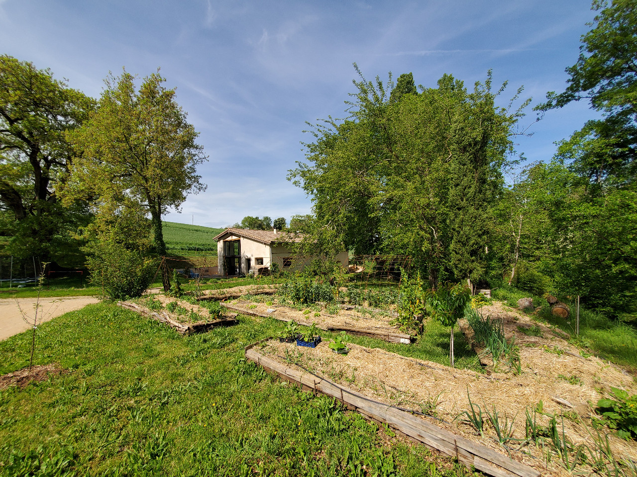 Location Tarn À la campagne