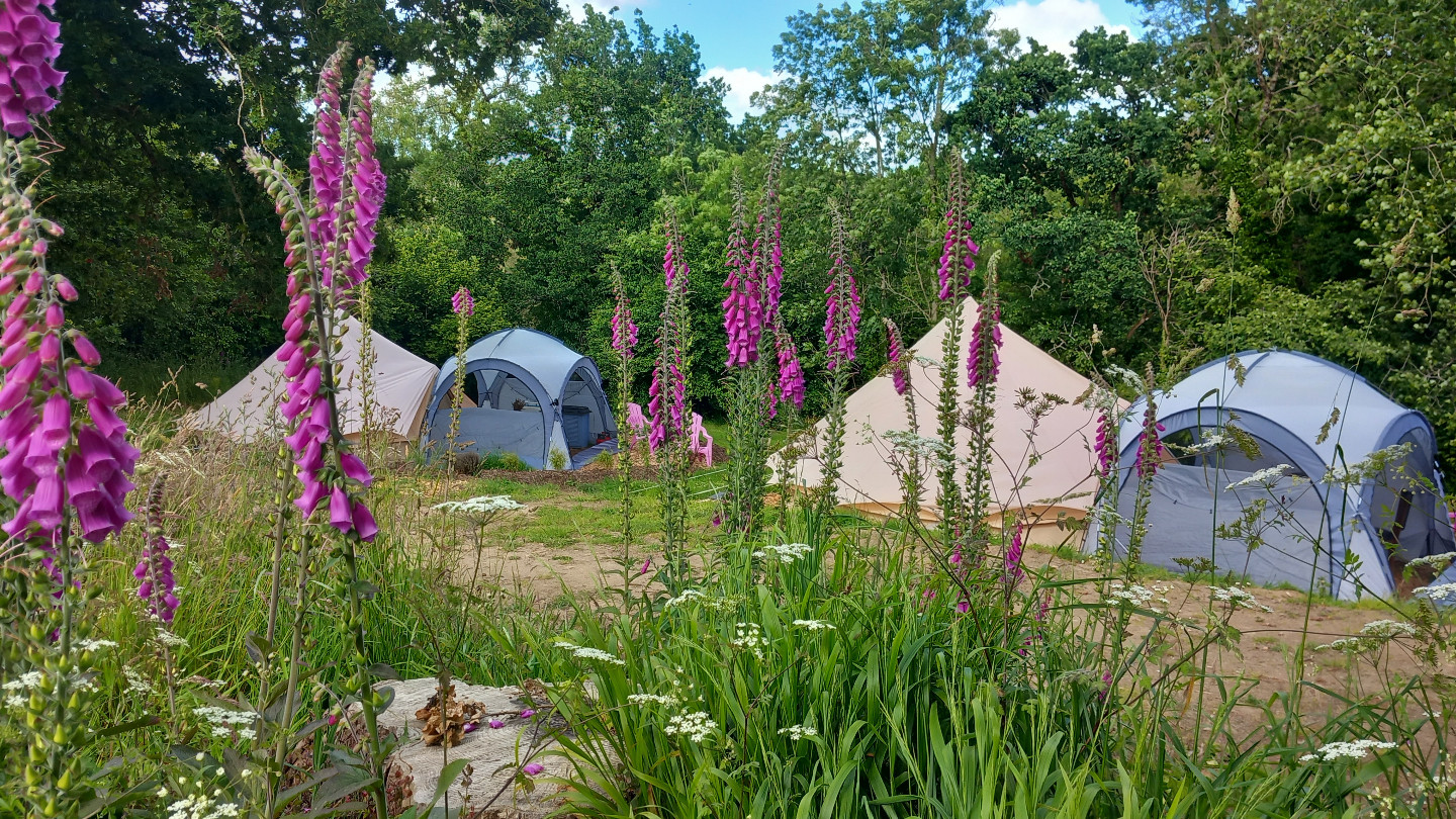  Côtes-d'Armor Glamping