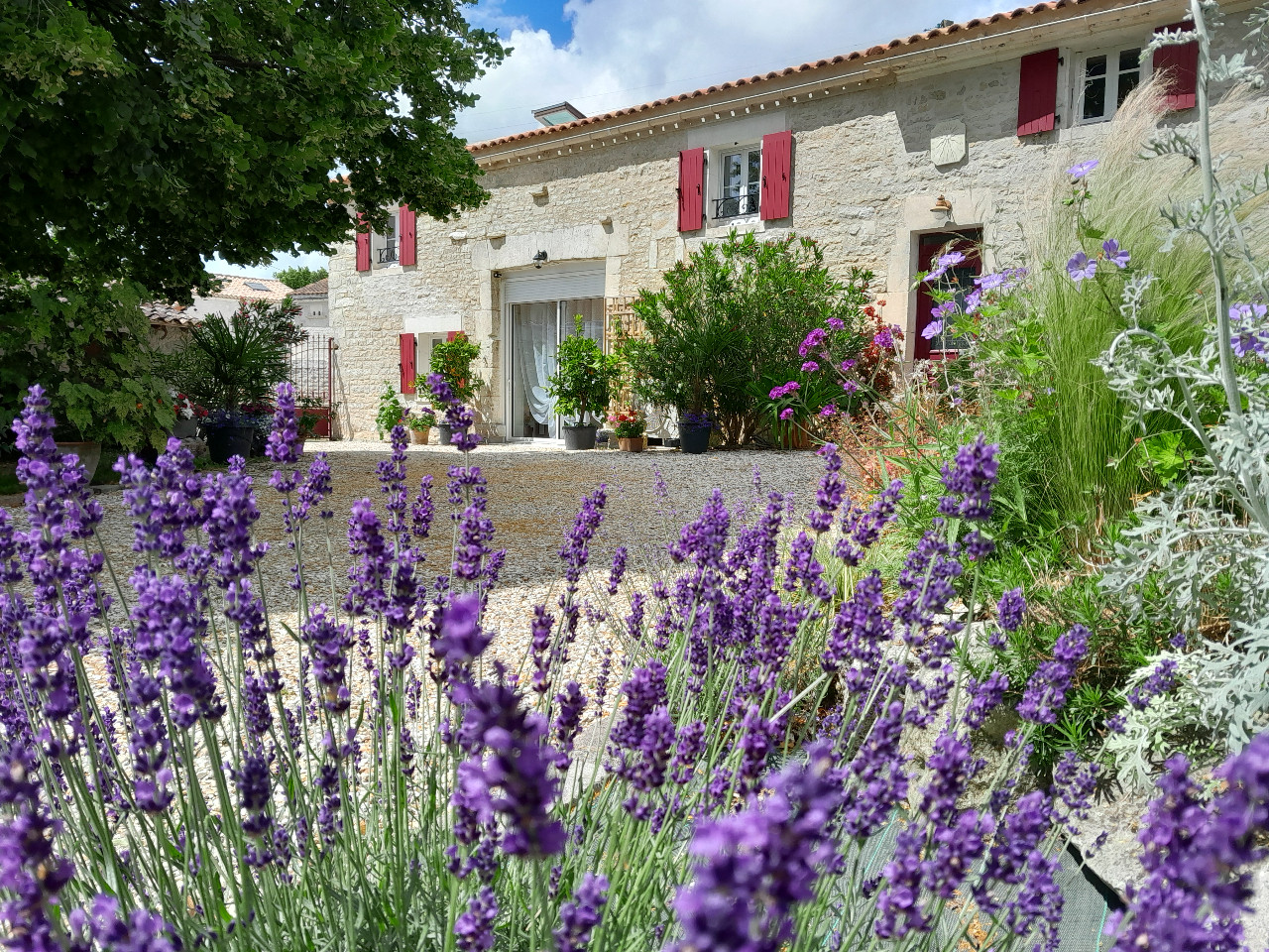 Hôte GreenGo: La Douce Charentaise