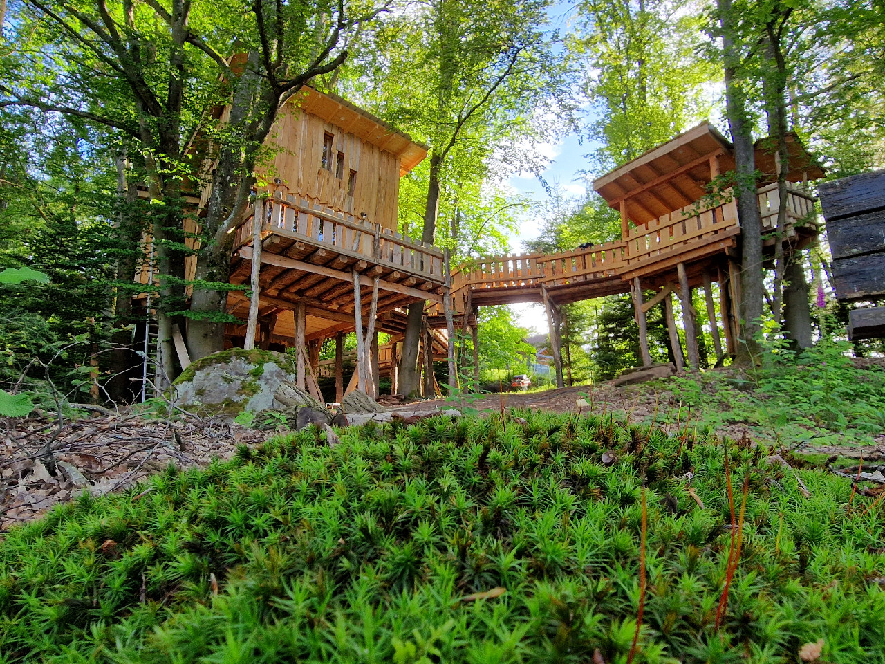Hôte GreenGo: Domaine de la Forestière