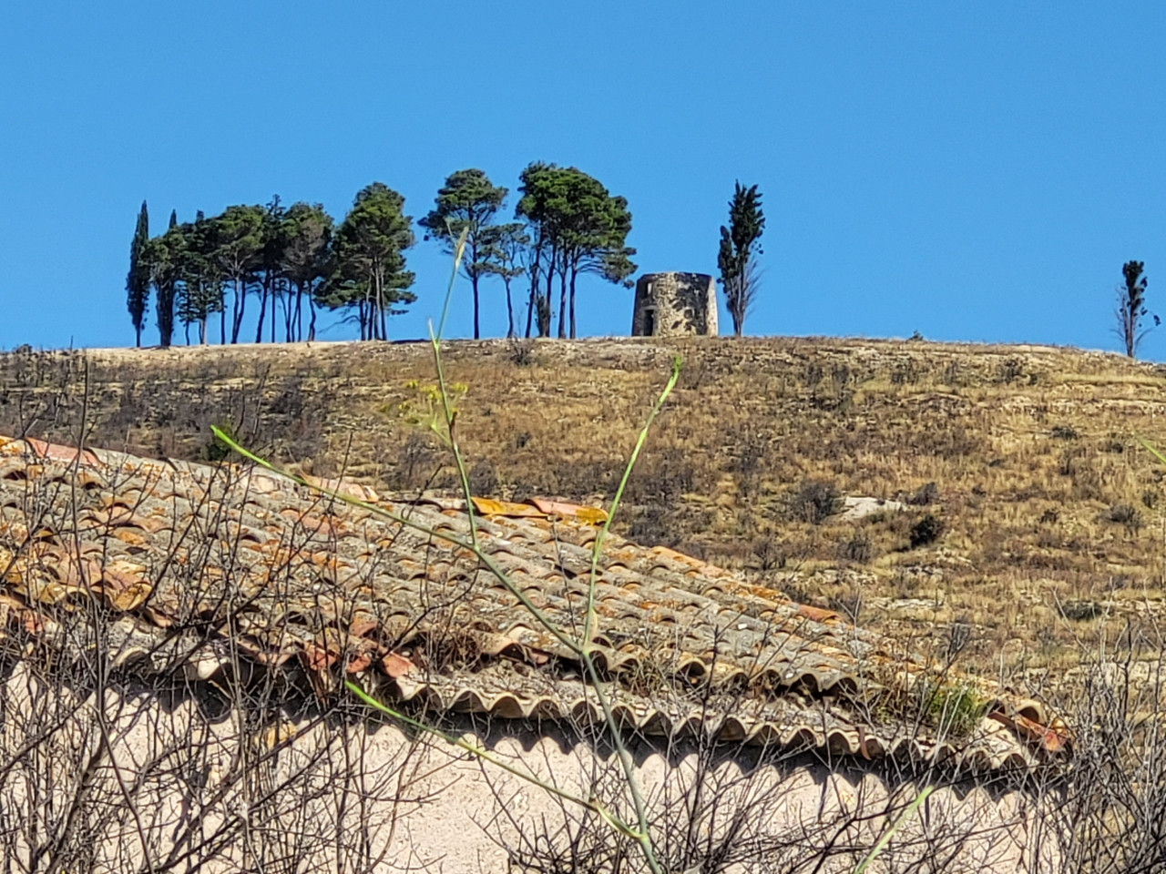 GreenGo Gîte Occitanie En ville