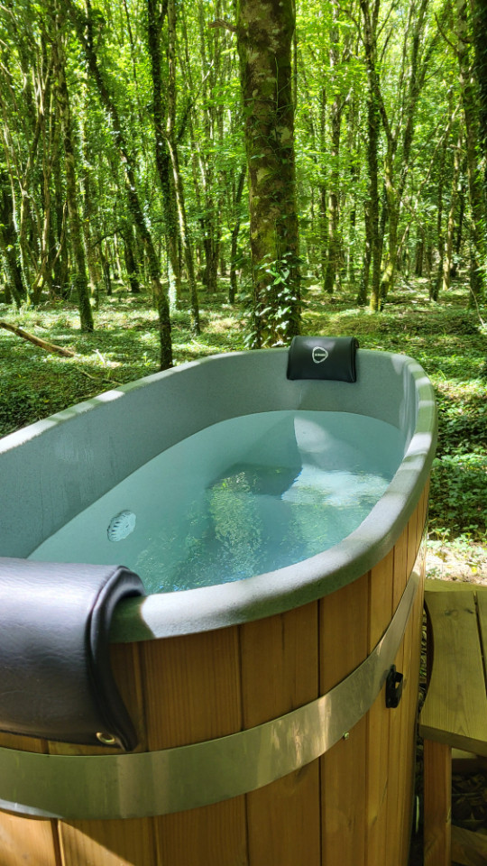 GreenGo location vacances écoresponsables