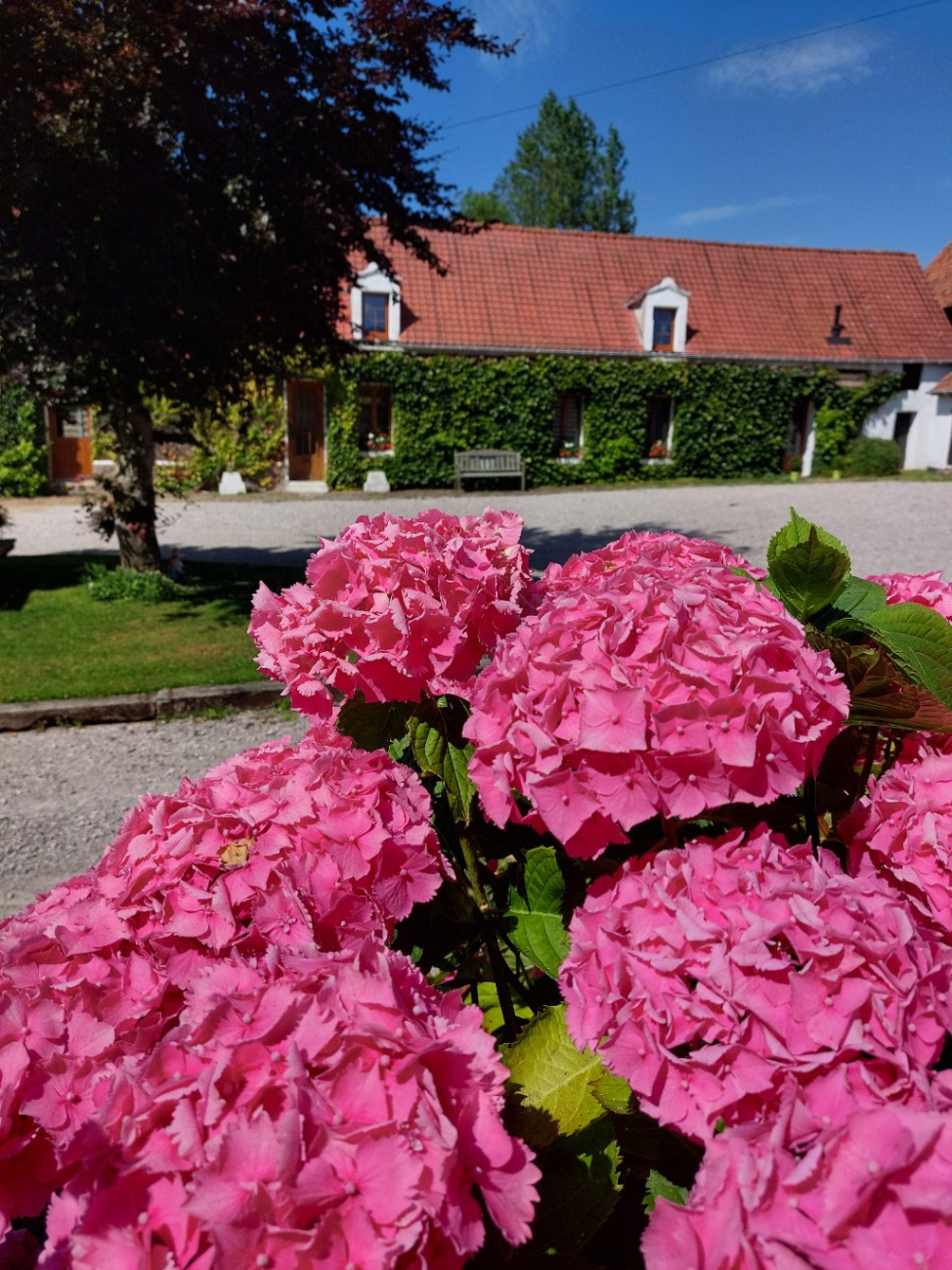 Pas-de-Calais Gîte de groupe