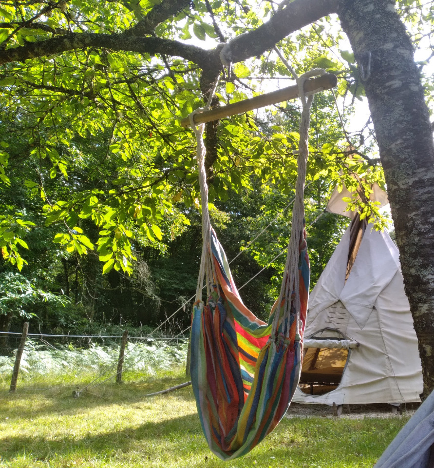Fougères et Asphodèles