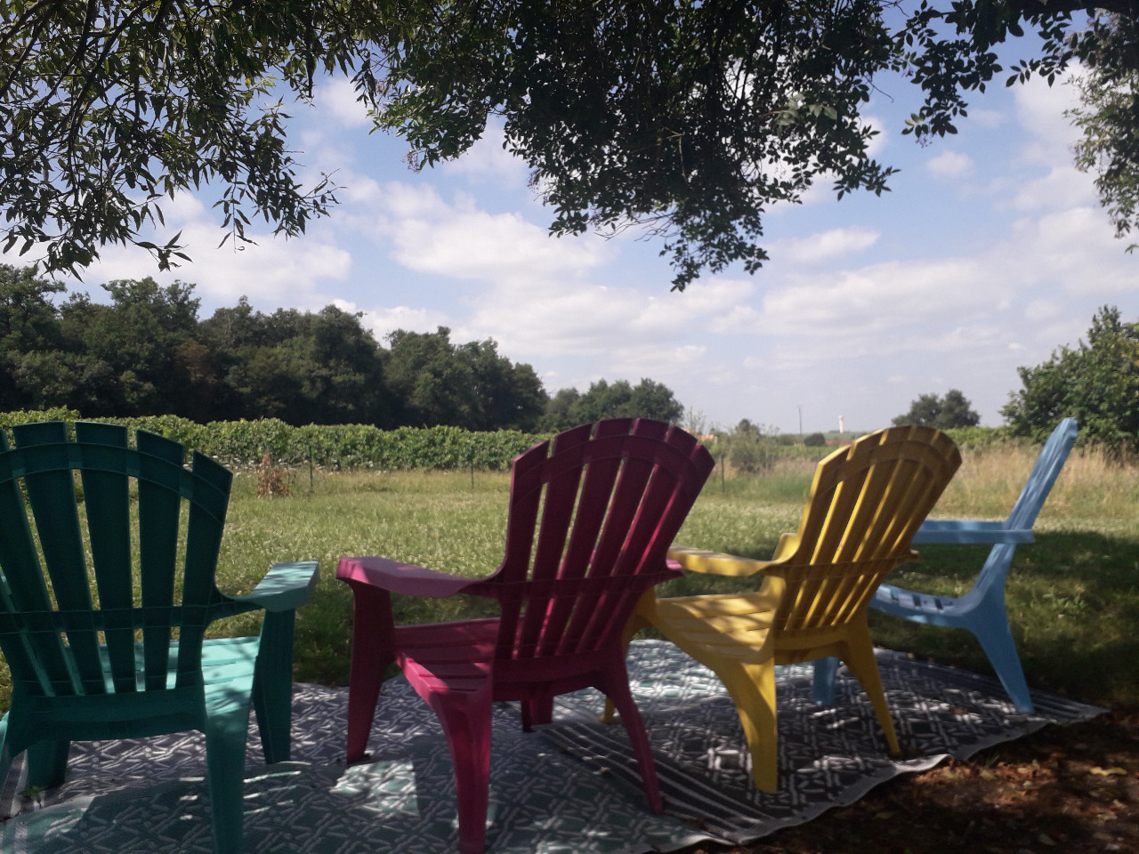Hôte GreenGo: Les  3 Gîtes la vigne est belle ( et la mer aussi) sud Charente