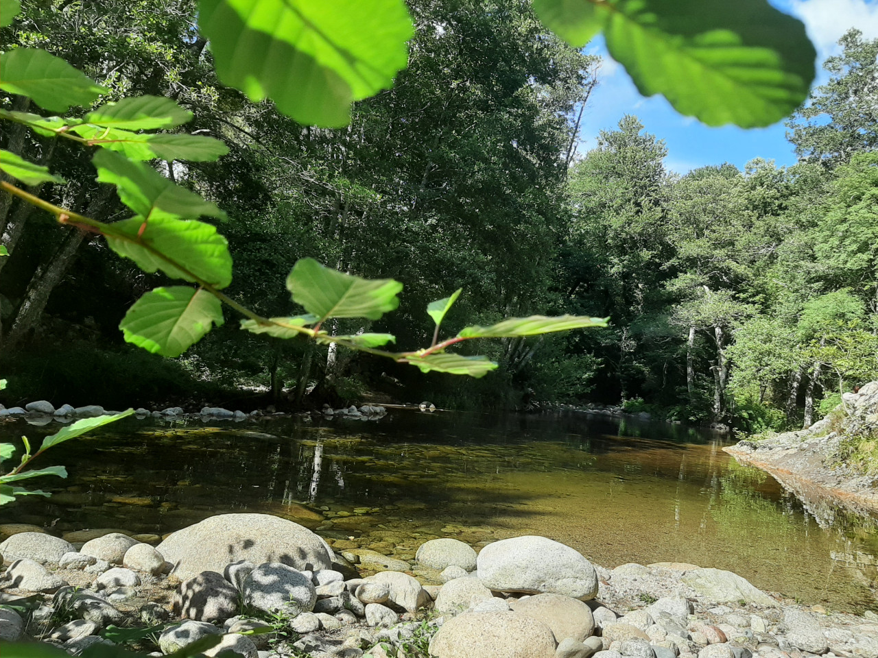 Corse-du-Sud Glamping