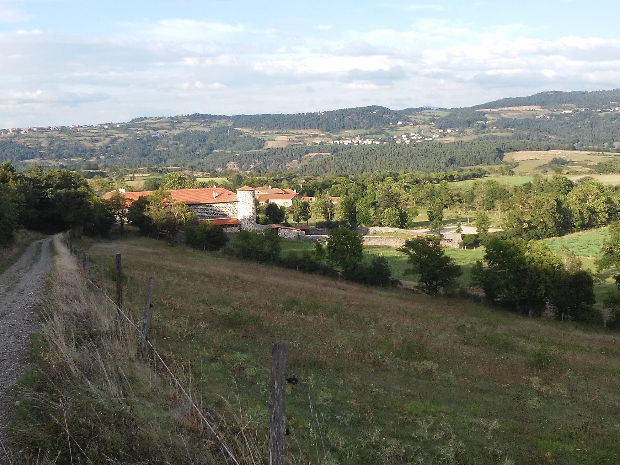 Location Haute-Loire En forêt